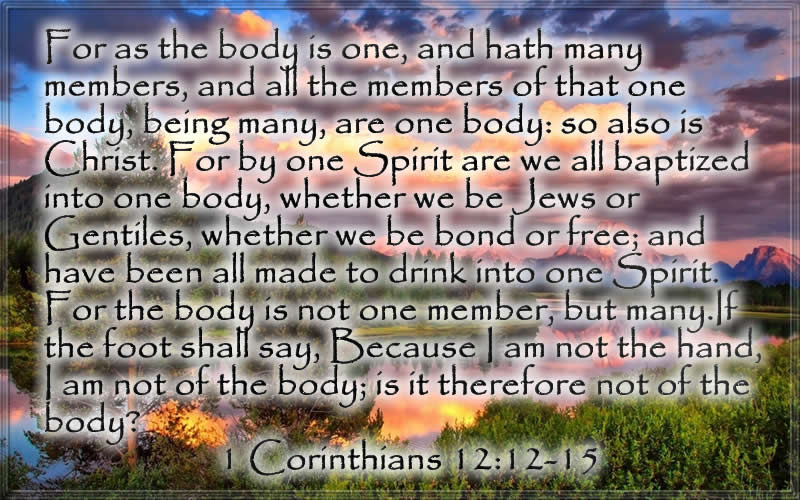 1 Corinthians 12:12-13